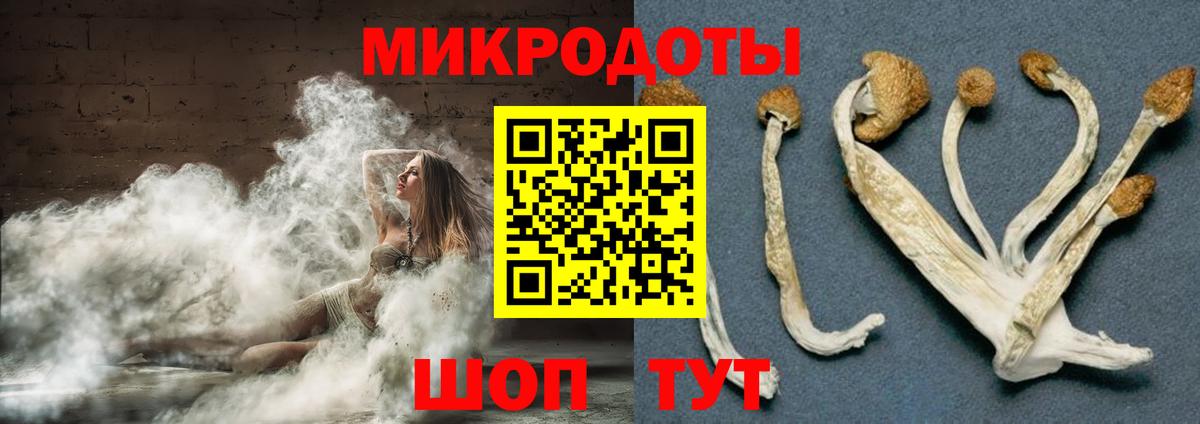 Псилоцибиновые грибы Psilocybine cubensis Кызыл